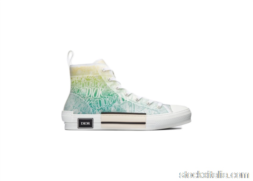 Outlet Dior And Shawn B23 High Top 3SH118YYL_H661