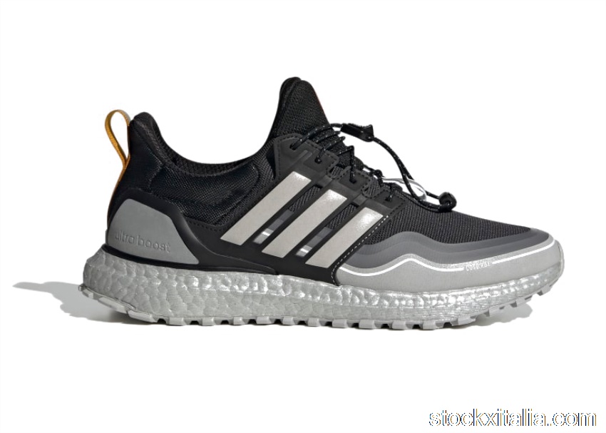 Outlet adidas Ultra Boost Winter Rdy DNA Metallic Silver FW8696